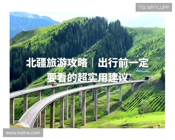 亚洲国际娱乐城奖金制度与返水政策全面分析与实用建议